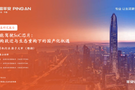 智能驾驶SoC芯片行业专题报告：架构跃迁与生态重构下的国产化机遇