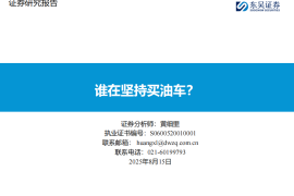 汽车行业分析：谁在坚持买油车？