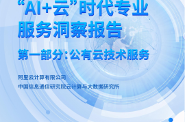 “AI+云”时代专业服务洞察报告+第一部分：公有云技术服务