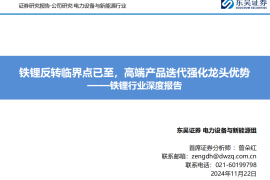 铁锂行业专题报告：铁锂反转临界点已至，高端产品迭代强化龙头优势