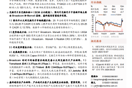 Broadcom公司专题报告：以博通交换芯片发展为鉴，探盛科通信突围路径（上篇）