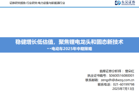 电动车行业2025年中期策略：稳健增长低估值，聚焦锂电龙头和固态新技术
