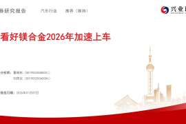 汽车行业：看好镁合金2026年加速上车
