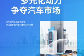 2025年并驾齐驱：多元化动力争夺汽车市场报告