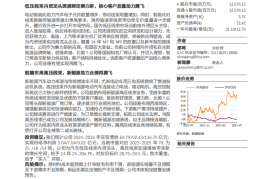 沪光股份研究报告：汽车线束内资龙头，核心客户放量助力腾飞