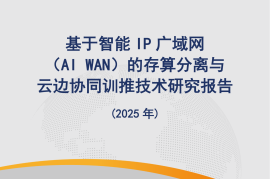 基于智能IP广域网（AI WAN）的存算分离与云边协同训推技术研究报告（2025年）