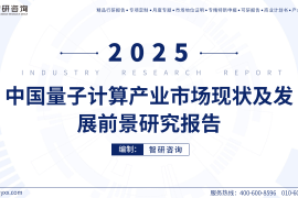 2025中国量子计算产业市场现状及发展前景研究报告