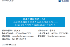 AI算力行业专题报告：从英伟达的视角看算力互连板块成长性，Scale Up 网络的“Scaling Law”存在吗？