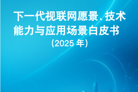 下一代视联网愿景、技术能力与应用场景白皮书（2025年）
