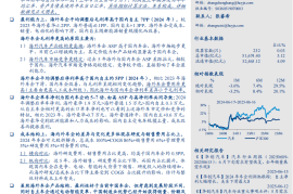 汽车行业深度研究报告：2024全球车企成本分拆，国内车企盈利能力提升，追赶海外车企高盈利
