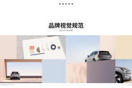 进口汽车品牌-品牌视觉规范