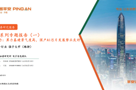 AI系列专题报告：算力，算力基建景气度高，国产AI芯片发展势头良好