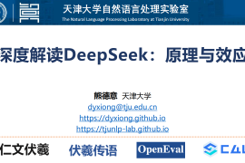 深度解读DeepSeek：原理与效应