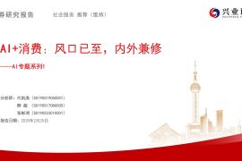 AI+消费专题报告：风口已至，内外兼修