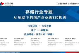 存储行业专题分析：AI驱动下的国产企业级SSD机遇