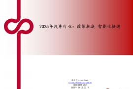 2025汽车行业：政策托底，智能化提速