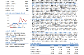 中鼎股份研究报告：汽零白马卡位机器人，低估值高弹性兼备
