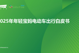 艾瑞咨询：2025年年轻宝妈电动车出行白皮书