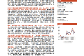 智能驾驶SoC行业深度报告：高阶智驾下沉趋势下，智驾SoC成黄金赛道