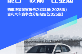 购车决策洞察报告之能耗篇（2025版） ：吉利汽车竞争力分析报告（2025版），吉利汽车能否“硬刚”比亚迪