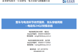 新能源汽车行业2024Q2财报总结：整车与电池环节依然强势，龙头穿越周期