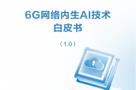 6G网络内生AI技术白皮书