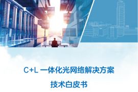 中兴：2025年C+L一体化光网络解决方案技术白皮书