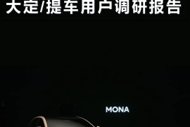 小鹏MONA M03大定提车用户调研报告