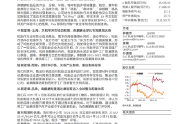 森麒麟研究报告：从摩洛哥到全球，森麒麟破局之路