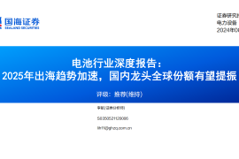 锂电池行业深度报告：2025年出海趋势加速，国内龙头全球份额有望提振