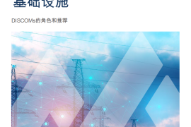 落基山脉研究所-插入：推进印度电动汽车基础设施建设