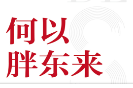 何以胖东来