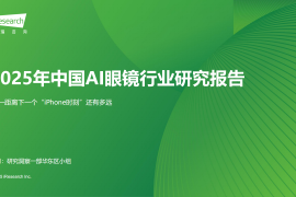 2025年中国AI眼镜行业研究报告