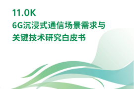 6G沉浸式通信场景需求与关键技术研究白皮书