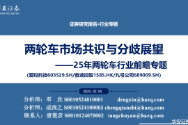 2025年两轮车行业前瞻专题：两轮车市场共识与分歧展望