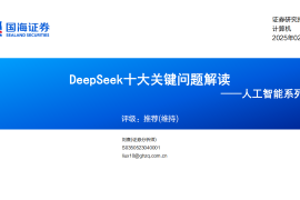 DeepSeek十大关键问题解读