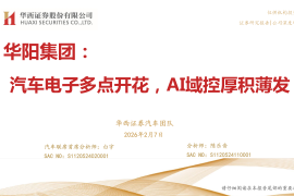 华阳集团公司研究报告：汽车电子多点开花，AI域控厚积薄发