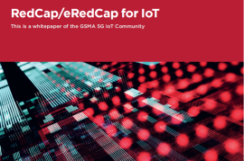 2025 RedCap和eRedCap技术在物联网中的应用白皮书（英文）