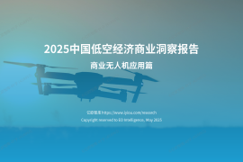 2025中国低空经济商业洞察报告（商业无人机应用篇）终稿