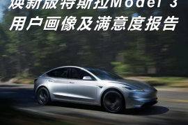 焕新版特斯拉Model 3用户画像及满意度报告