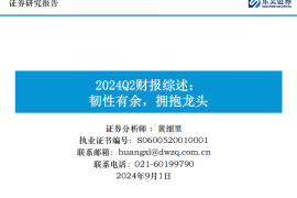 汽车行业2024Q2财报综述：韧性有余，拥抱龙头