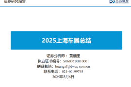 汽车行业报告：2025上海车展总结