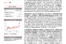 松原安全研究报告：被动安全自主新星，国产替代&出海双线并进