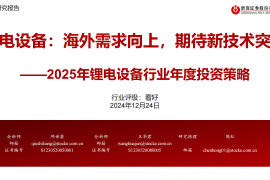 2025年锂电设备行业年度投资策略：锂电设备，海外需求向上，期待新技术突破