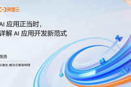 阿里云：2025年AI应用正当时，详解AI应用开发新范式报告