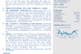 北汽蓝谷研究报告：三年跃升开启新征程，双品牌战略拐点已至