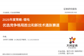 锂电行业2025年度策略：优选竞争格局胜出和新技术通胀赛道