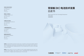 2025年背接触（BC）电池技术发展白皮书