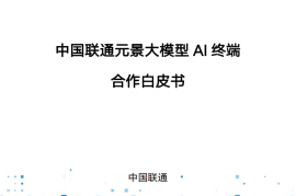 中国联通：2025年元景大模型AI终端合作白皮书2.0