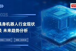 天机阁：2025年具身机器人行业现状及未来趋势分析报告